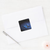 Blauwe vlinder vierkante sticker (Envelop)