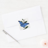 Blauwe vlinder vierkante sticker (Envelop)