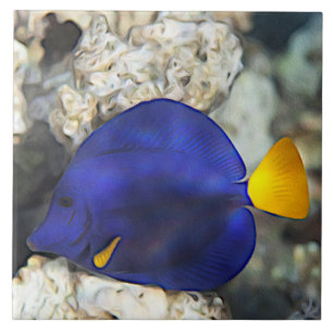 Blauwe Vlinder Vis Koraalrif Oceaan Vis Tegeltje
