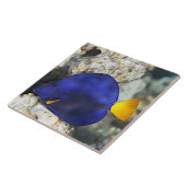 Blauwe vlinder Vis Koraalrif Oceaanvis Tegeltje (Zijkant)