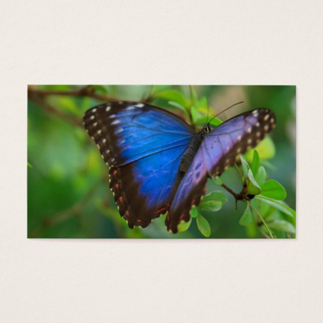 Blauwe vlinder visitekaartje (Voorkant)