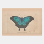  blauwe vlinder zwaar ontledingsgewicht inpakpapier vel (Voorkant 3)