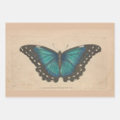  blauwe vlinder zwaar ontledingsgewicht inpakpapier vel (Voorkant)