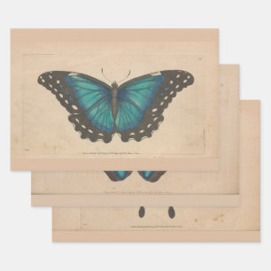 blauwe vlinder zwaar ontledingsgewicht inpakpapier vel