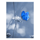 Blauwe vlinderfoto foto afdruk (Voorkant)