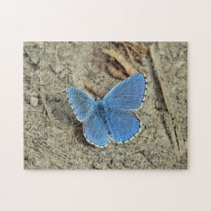 blauwe vlinderfoto legpuzzel