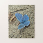 blauwe vlinderfoto legpuzzel (Verticaal)