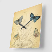   blauwe vlinderklok vierkante klok (Hoek)