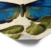 blauwe vlinders en ontkoppeling van Rozen Poster (Hoek)