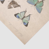 Blauwe Vlinders Ephemera Decoupage Blauwgroen T Tissuepapier (Detail)