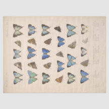 Blauwe Vlinders Ephemera Decoupage Blauwgroen T