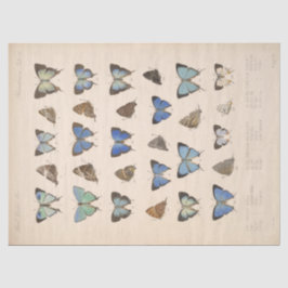 Blauwe Vlinders Ephemera Decoupage Blauwgroen T Tissuepapier