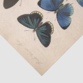 Blauwe Vlinders Ephemera Decoupage Blauwgroen T Tissuepapier (Detail)