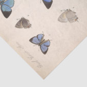 Blauwe Vlinders Ephemera Decoupage Blauwgroen Tissuepapier (Detail)