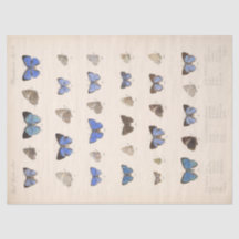 Blauwe Vlinders Ephemera Decoupage Blauwgroen