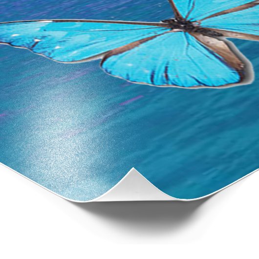 Blauwe Vlinders Foto Afdruk (Hoek)