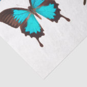 Blauwe vlindervlinder Collectie ontkoppeling Tissuepapier (Detail)