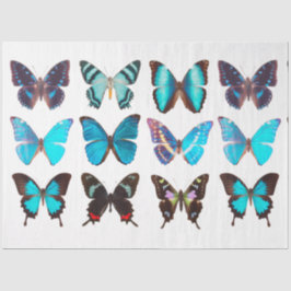 Blauwe vlindervlinder Collectie ontkoppeling Tissuepapier