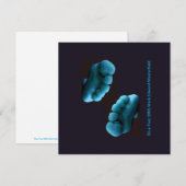 Blauwe Voeten 2005 Mark Edward Westerfield (Voorkant / Achterkant)