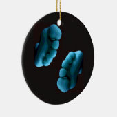 Blauwe voeten keramisch ornament (Rechts)