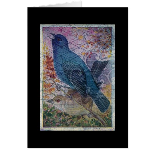 Blauwe vogel (Voorkant)