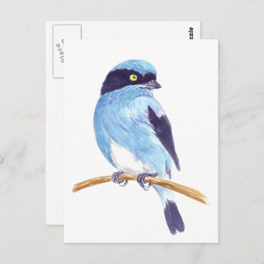 Blauwe vogel briefkaart (Voorkant / Achterkant)