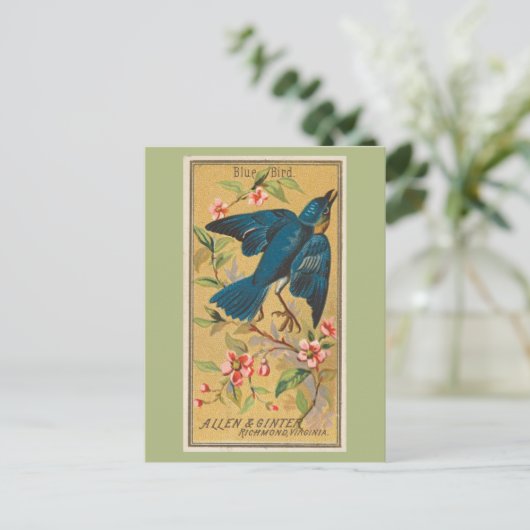Blauwe vogel briefkaart (Staand voorkant)