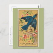 Blauwe vogel briefkaart (Voorkant / Achterkant)