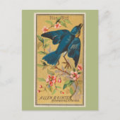 Blauwe vogel briefkaart (Voorkant)