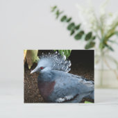 Blauwe vogel briefkaart (Staand voorkant)