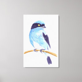 Blauwe vogel canvas afdruk