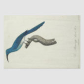 Blauwe Vogel Ephemera Decoupage Frans Script Tissuepapier (Voorkant)