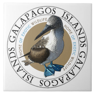 Blauwe Vogel Galapagos Eilanden Classic Ronde Tegeltje