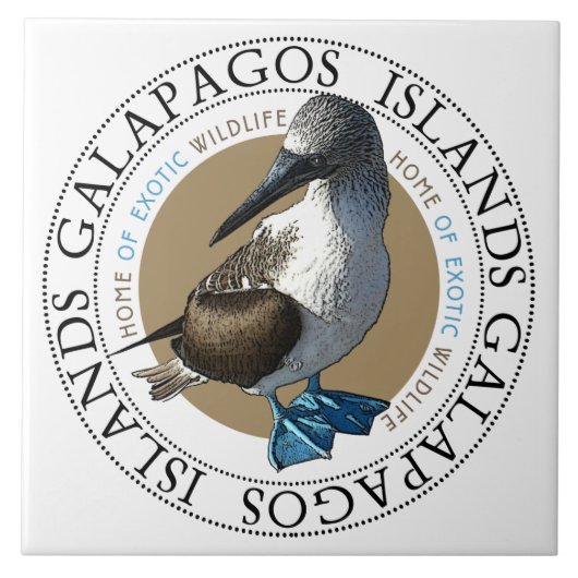 Blauwe Vogel Galapagos Eilanden Classic Ronde Tegeltje (Voorkant)