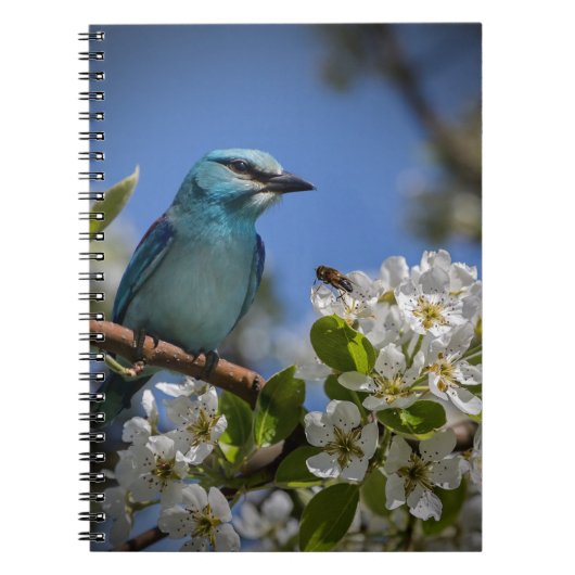 Blauwe vogel in Blossom Notitieboek (Voorkant)