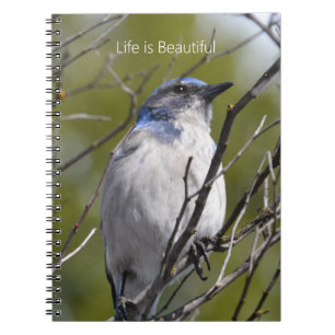 Blauwe Vogel in Boom (mijn fotografie) Notitieboek