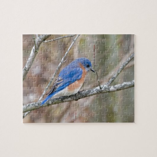 Blauwe vogel in de boom legpuzzel (Horizontaal)