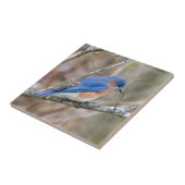 Blauwe vogel in de boom tegeltje (Zijkant)