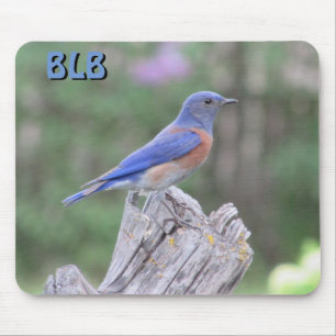 Blauwe Vogel in het voorjaar uw initialen Muismat