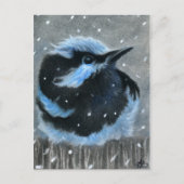 Blauwe vogel in sneeuw BRIEFKAART (Voorkant)