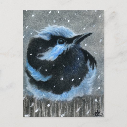 Blauwe vogel in sneeuw BRIEFKAART (Voorkant)