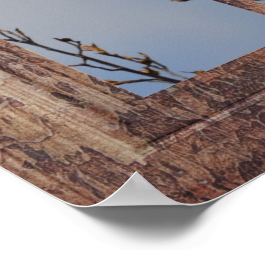 Blauwe vogel in venster poster (Hoek)