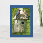 blauwe vogel jubileumkaart kaart (Voorkant)