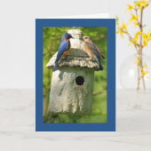 blauwe vogel jubileumkaart kaart (Gele Bloem)