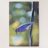 Blauwe vogel legpuzzel (Verticaal)