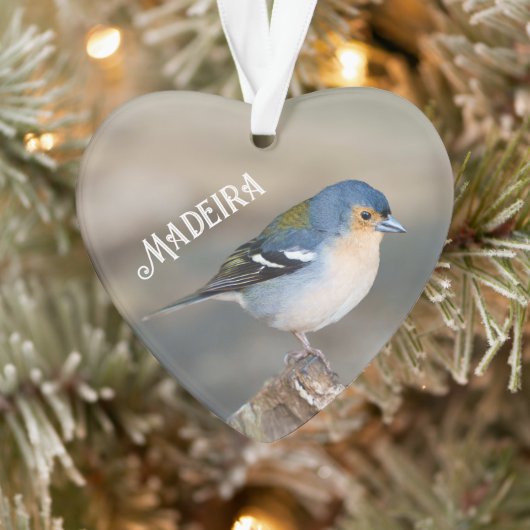 Blauwe vogel Madeira Keep (Fringilla maderensis) Ornament (Boom)