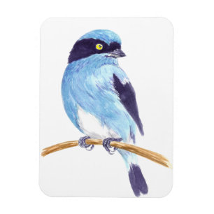Blauwe vogel magneet