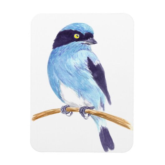 Blauwe vogel magneet (Verticaal)