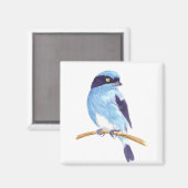 Blauwe vogel magneet (Voorkant / Achterkant)