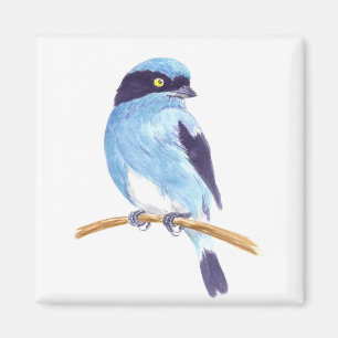 Blauwe vogel magneet